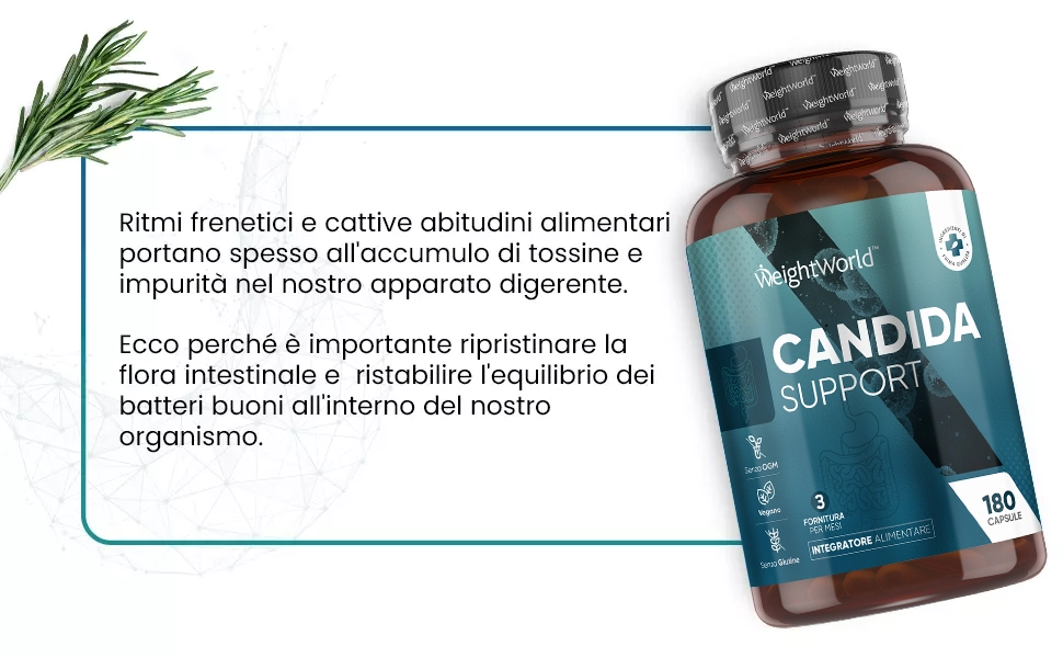 Candida Support