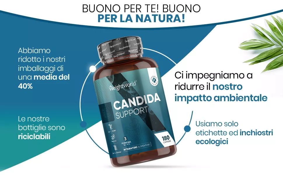 Candida Support