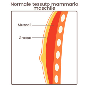 gynecomax info left side