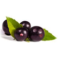 Acai