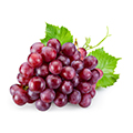 Semi di Uva