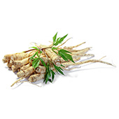 Panax Ginseng Root