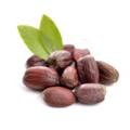Olio di semi di Jojoba
