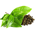 Estratto di Tè Verde