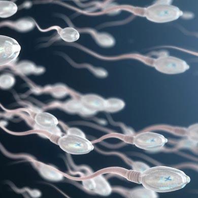 Tutto quello che ti serve sapere sullo Sperma