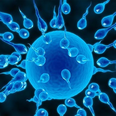 Sperma: quali sono i parametri di normalità? 