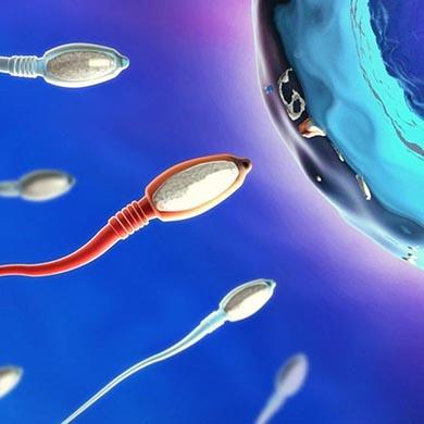 Come migliorare lo sperma