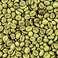 Estratto di fagioli verdi Estratto di fagioli verdi