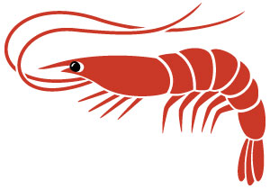 Maxmedix Integratore Antarctic Krill Oil