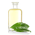 image of tea tree oil image of tea tree oil
