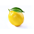 Rutina Rutina