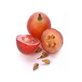 Graine de raisin