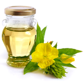 Evening Primrose Oil