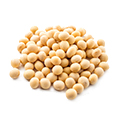 Soy Isoflavones